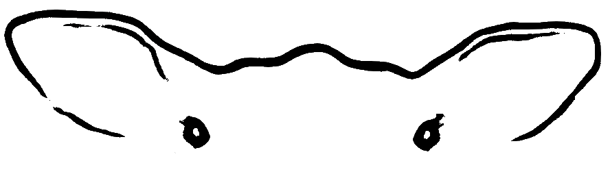 gewollt & gekonnt
